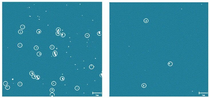 功率器件 功率器件